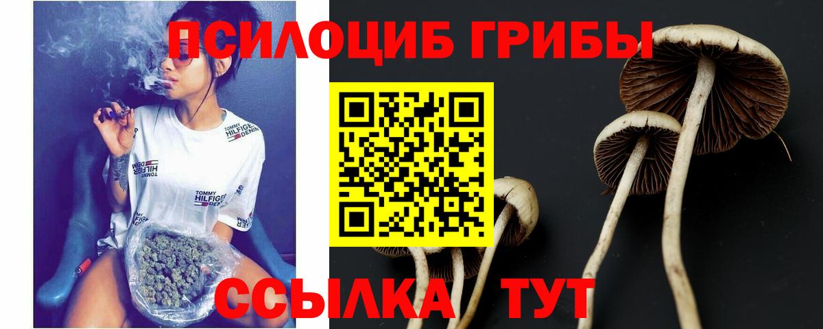 Псилоцибиновые грибы Magic Shrooms  Вход с VPN  Крымск 